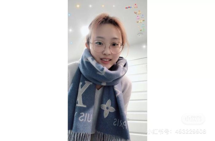 Louis Vuitton Scarf LV00051